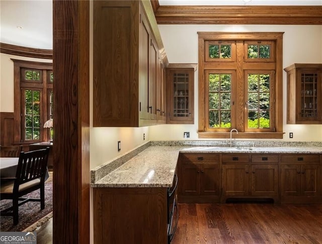 kitchen featuring light stone counters, dark hardwood / wood-style flooring, crown molding, and plenty of natural light