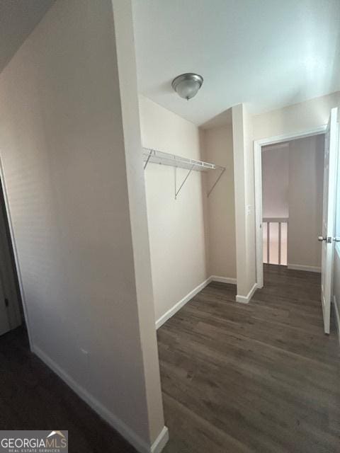 spacious closet featuring dark wood-type flooring