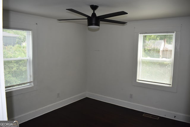 unfurnished room featuring a wealth of natural light and ceiling fan