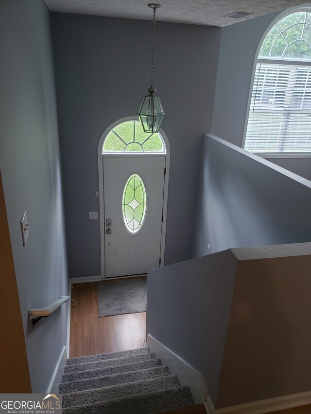 entrance foyer featuring a healthy amount of sunlight and hardwood / wood-style flooring