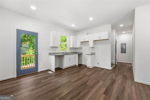 kitchen with white cabinetry, dark hardwood / wood-style floors, and electric panel