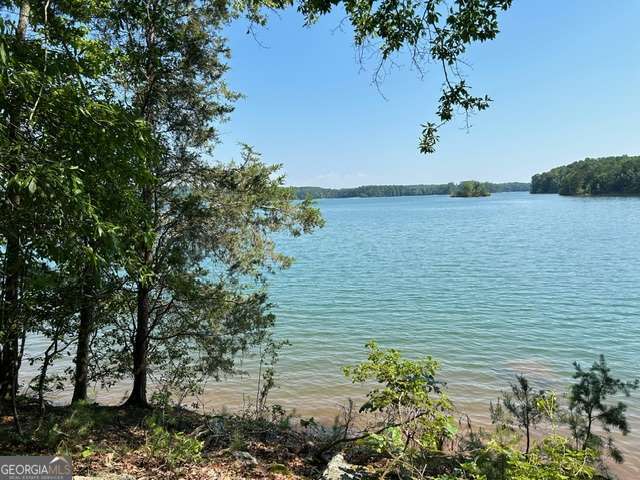 0907 Chandlers Ferry Rd, Hartwell GA, 30643 land for sale