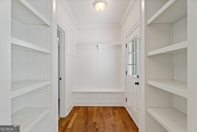 spacious closet featuring wood-type flooring