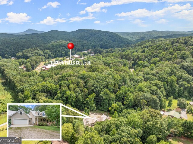 birds eye view of property featuring a mountain view