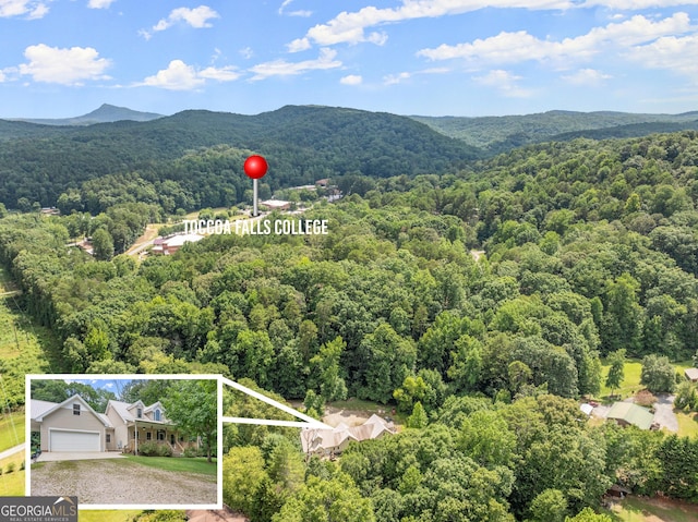 birds eye view of property with a mountain view