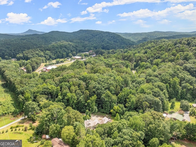 birds eye view of property featuring a mountain view