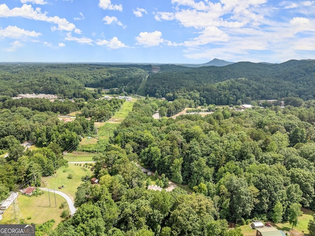 birds eye view of property featuring a mountain view