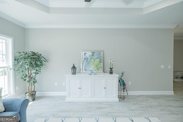 details featuring ceiling fan, a raised ceiling, and crown molding