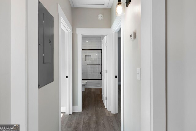 walk in closet with hardwood / wood-style flooring