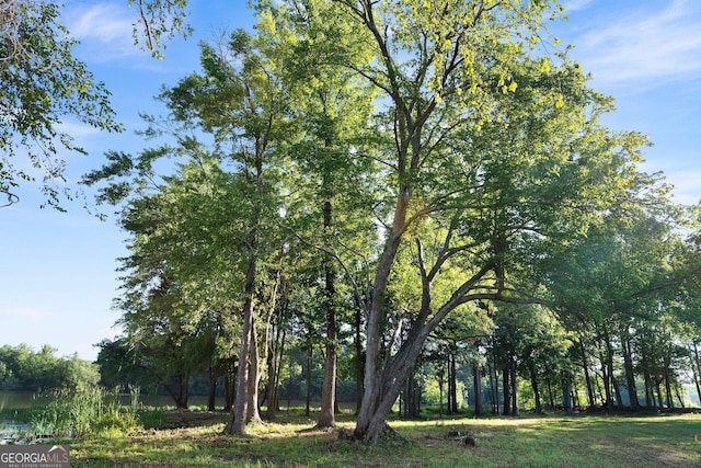 view of landscape