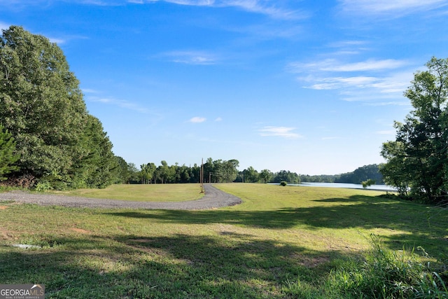 view of local wilderness