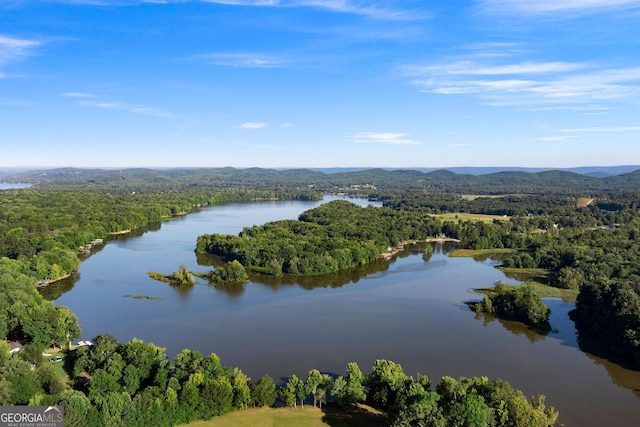 birds eye view of property with a water and mountain view