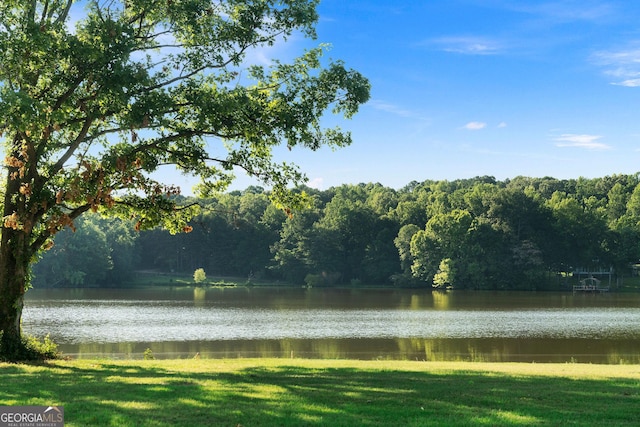 water view