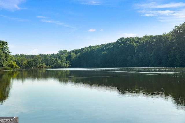 property view of water with a view of trees