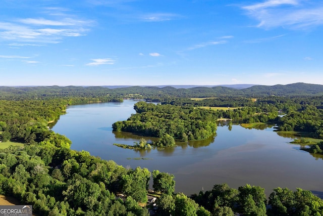 bird's eye view with a water and mountain view