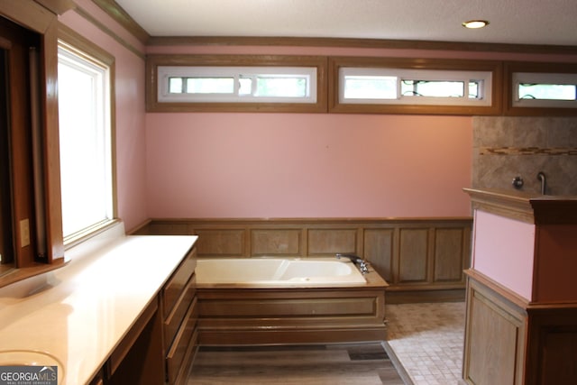 bathroom featuring a washtub and hardwood / wood-style flooring