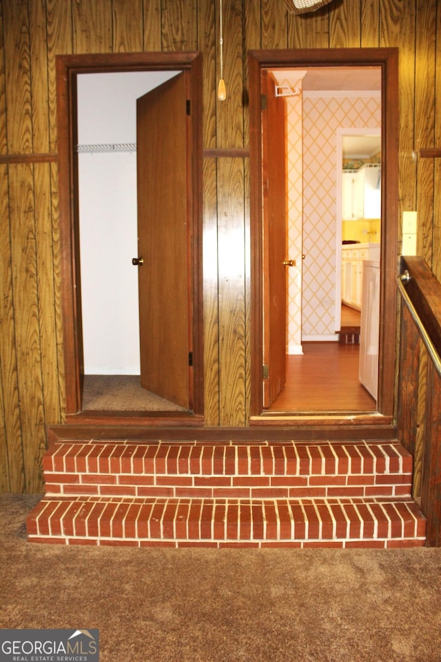 stairway featuring carpet floors