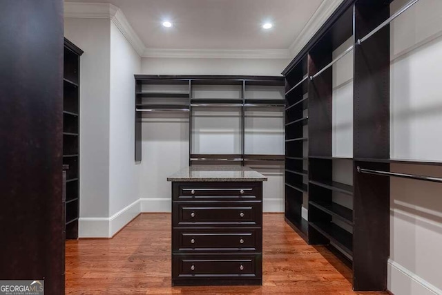 spacious closet featuring wood-type flooring