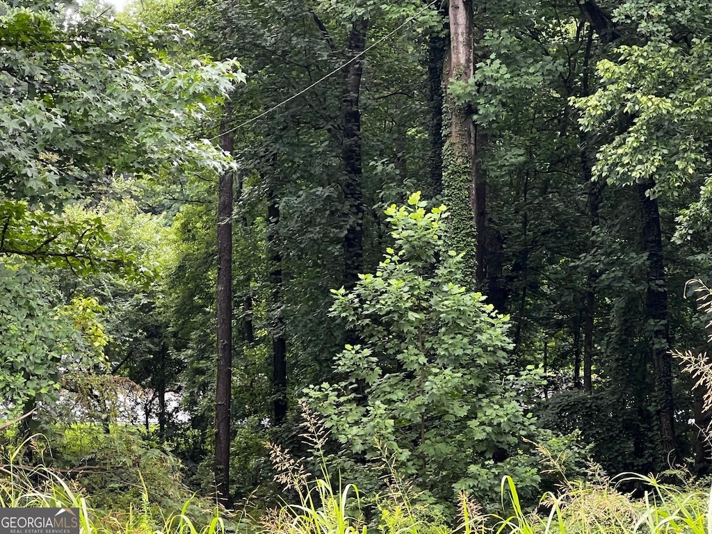 H11 Woodlawn Pl, Rex, GA 30273
