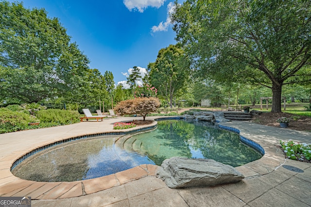 view of pool featuring a patio