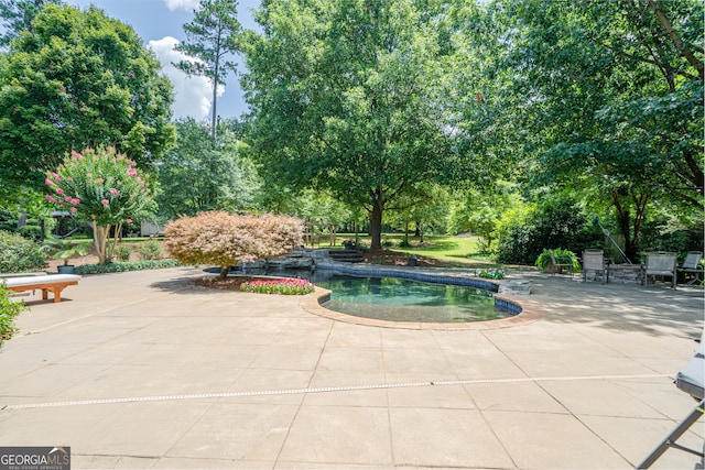 view of pool featuring a patio