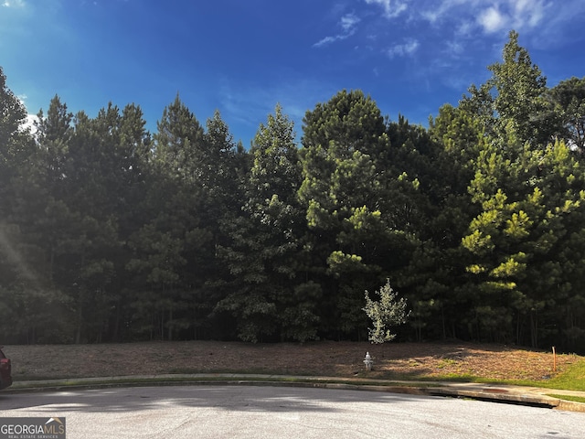 262 Tapestry Dr, Mcdonough GA, 30252 land for sale