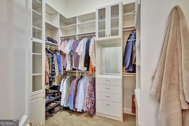 spacious closet featuring light colored carpet