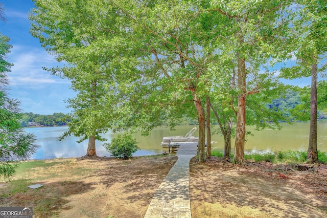 water view with a dock