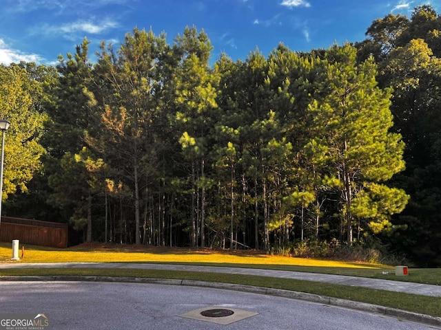 Listing photo 2 for 1745 Indian Wood Rd, Lithonia GA 30058