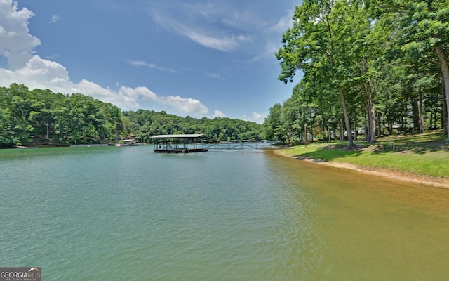 view of water feature with a boat dock