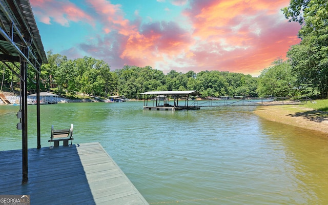 dock area with a water view