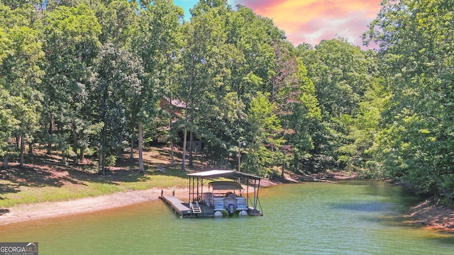 dock area featuring a water view