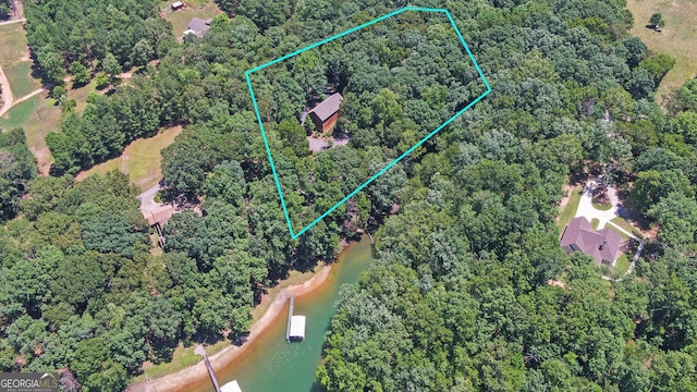 aerial view featuring a view of trees and a water view
