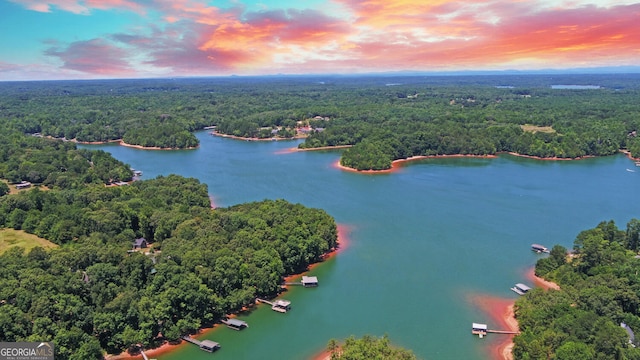 drone / aerial view with a water view and a wooded view