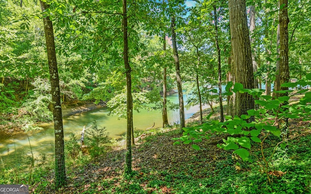 view of local wilderness featuring a water view