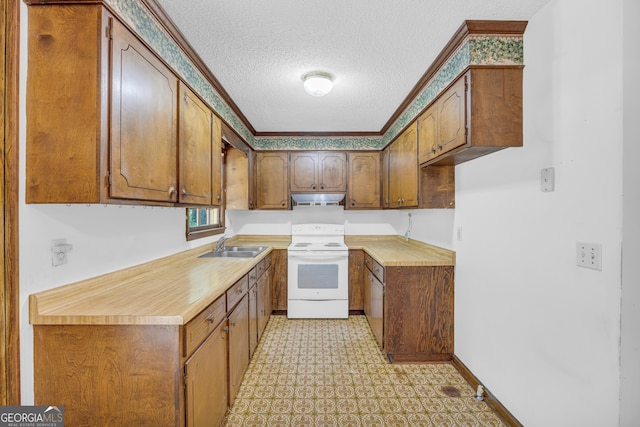 kitchen featuring sink, a textured ceiling, dishwasher, and electric stove