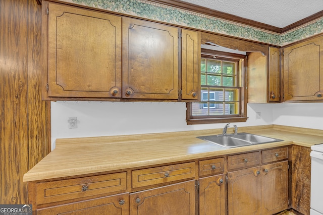 kitchen featuring sink, range, and a textured ceiling