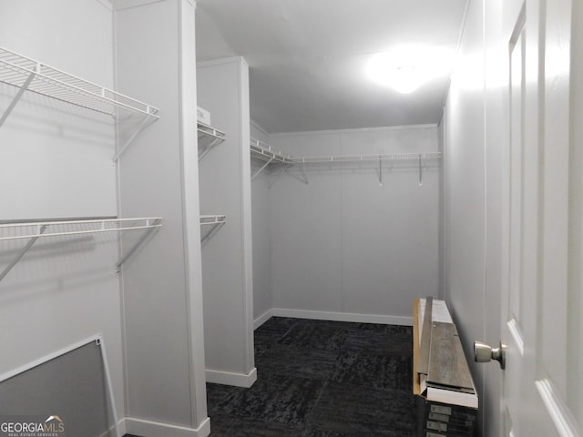 walk in closet with dark carpet