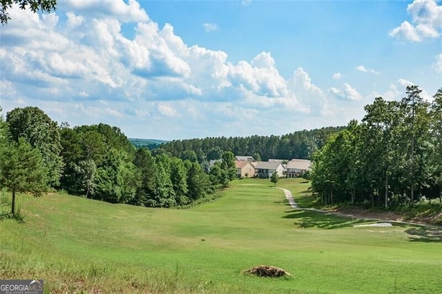 view of property's community with a yard