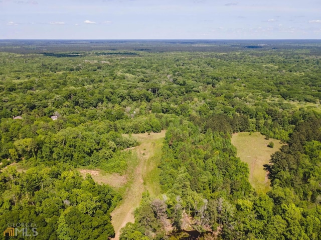 Listing photo 2 for 0 Old River Rd S Lot 31, Brooklet GA 30415