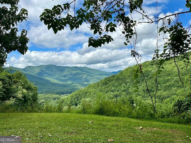 LOT32 Shiloh Trl, Hayesville NC, 28904 land for sale