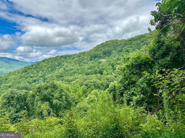 Listing photo 3 for LOT32 Shiloh Trl, Hayesville NC 28904