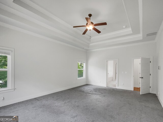 spare room with carpet, a raised ceiling, and a healthy amount of sunlight