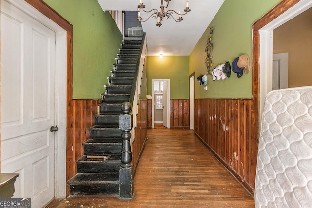 staircase with hardwood / wood-style flooring, an inviting chandelier, and wooden walls