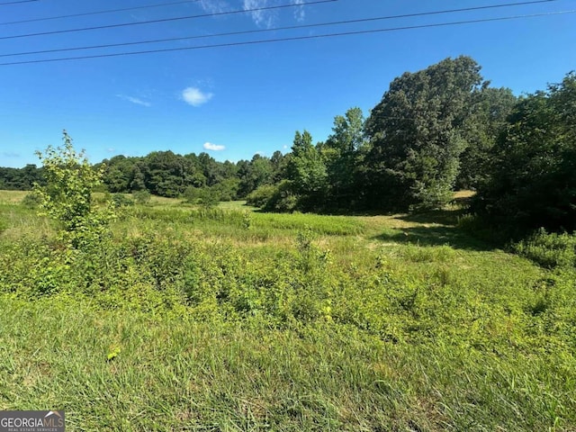 view of local wilderness