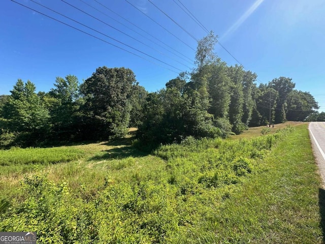 view of local wilderness