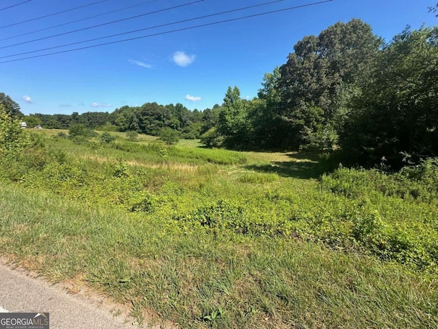 view of local wilderness