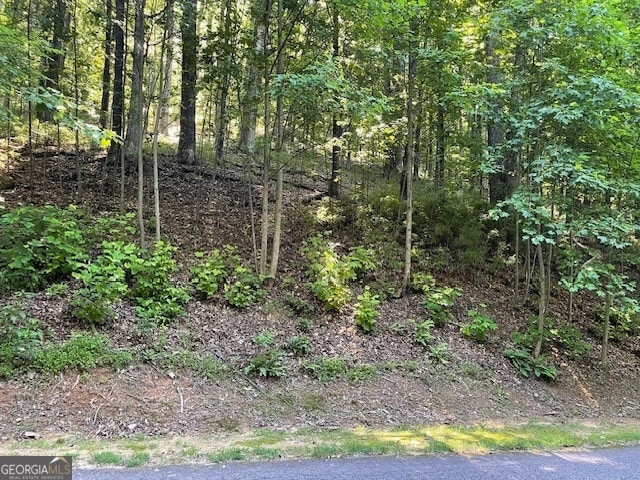 LOT61 Mountainside Dr, Cleveland GA, 30528 land for sale