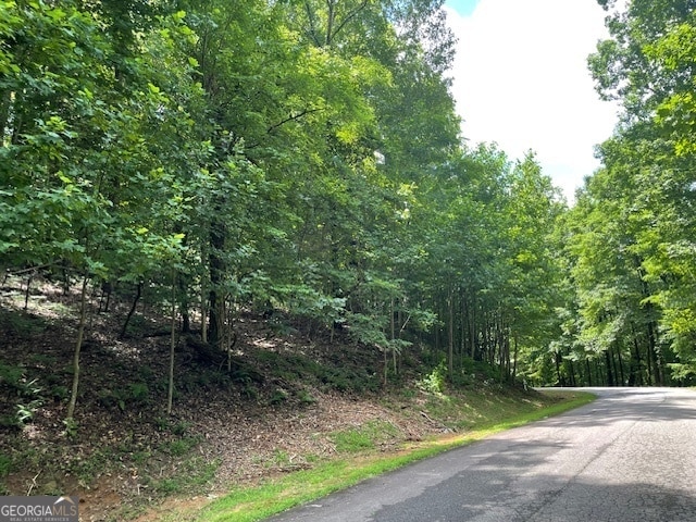 Listing photo 2 for LOT61 Mountainside Dr, Cleveland GA 30528