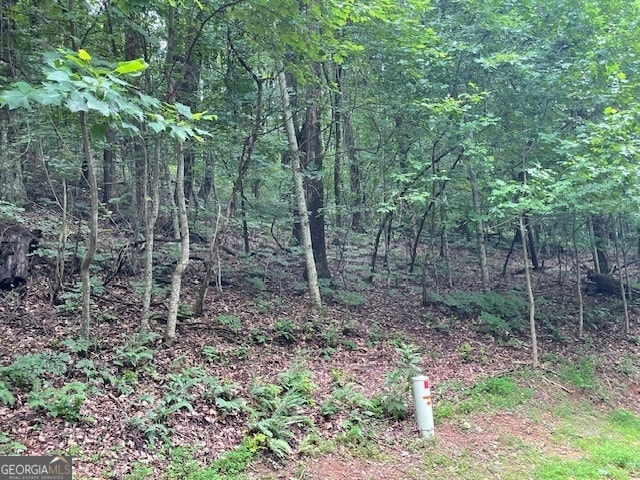 Listing photo 3 for LOT61 Mountainside Dr, Cleveland GA 30528